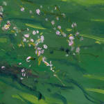 Gerard_Byrne_Walking_On_A_Dream_modern_irish_impressionism_painting_detail