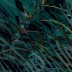 Gerard_Byrne_Into_the_Wild_figurative_artist_botanical_art_painting_detail