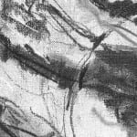 Gerard-Byrne-Walk-Along-the-Swan-Lake-Singapore_Botanic-Gardens-charcoalogy-exhibition-art-gallery-dublin-ireland-drawing-detail