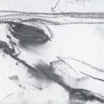 Gerard-Byrne_Oscar_Wilde_House_Merrion_Square_art_gallery_Dublin_Ireland_painting_detail