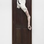 Arthur Jafa, Cassowary_Mechanics of Empathy, 2017