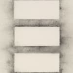 Agustina Woodgate, Wage USA (ink on paper), 2020