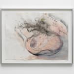 Ivana Bašić, I too had thousands of blinking cilia, while my belly, new and made for the ground was being...