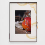 Magali Reus, Landings (27205.2, Gilbert), 2022