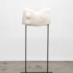 Arthur Jafa, Cassowary_Mechanics of Empathy, 2017