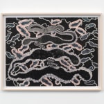 Ann Leda Shapiro, Snake Spine, 1993