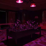 Max Hooper Schneider, Dendrite Bonsai (Lemon), 2023