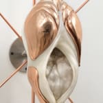 Ivana Bašić, I too had thousands of blinking cilia, while my belly, new and made for the ground was being...