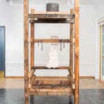 Candice Lin, Failed Matriarchy, 2009