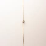 Kelly Akashi, Wavelength, 2019