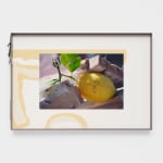 Magali Reus, Landings (27205.2, Gilbert), 2022