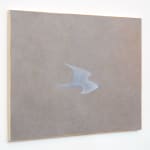Ian Miyamura, gull in haze, 2024