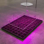 Florian Meisenberg, Department of Internal Affairs (The Taste of Metal in Water), 2018
