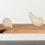 Kelly Akashi, Wavelength, 2019