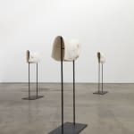 Arthur Jafa, Cassowary_Mechanics of Empathy, 2017