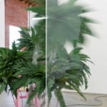 Dorian Gaudin, This Should Be Reflective, 2019