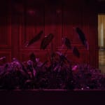 Max Hooper Schneider, Dendrite Bonsai (Lemon), 2023