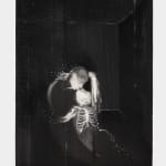 Cindy Ji Hye Kim, Without a Trace, 2025