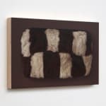 Victoria Gitman, On Display, 2011