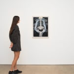 Ann Leda Shapiro, Bonded Bodies, 2024
