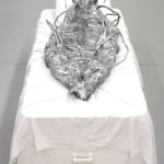 Candice Lin, Failed Matriarchy, 2009