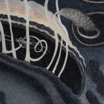 Ann Leda Shapiro, Bonded Bodies, 2024