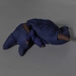 Arthur Jafa, Cassowary_Mechanics of Empathy, 2017