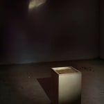 Candice Lin, Meditations on Last Philosophy (in which the possibilities of a coevolutionary, spontaneously generated, parasitic future are demonstrated), 2015