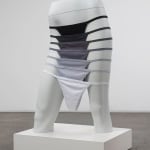 Amanda Ross-Ho, Untitled Still Life (UNDERSTANDING YOUR BODY), 2014