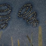 Ann Leda Shapiro, Bonded Bodies, 2024