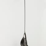 Ivana Bašić, I too had thousands of blinking cilia, while my belly, new and made for the ground was being...