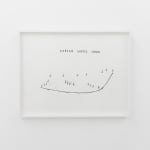 Christine Sun Kim and Thomas Mader, Classified Digits, 2016