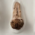 Candice Lin, Slaughtered Pigs, 2012