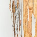 Tomás Díaz Cedeño, Bosque, 2020