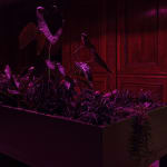 Max Hooper Schneider, Dendrite Bonsai (Lemon), 2023