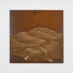 Roksana Pirouzmand, like a pebble in a riverbed, 2024