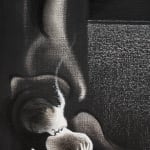 Cindy Ji Hye Kim, Without a Trace, 2025
