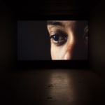 Arthur Jafa, Cassowary_Mechanics of Empathy, 2017
