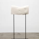 Arthur Jafa, Cassowary_Mechanics of Empathy, 2017