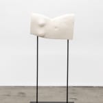 Arthur Jafa, Cassowary_Mechanics of Empathy, 2017
