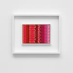 Brooklin A. Soumahoro, Window, Grn/Pnk.1.25, 2025