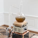 Candice Lin, Failed Matriarchy, 2009