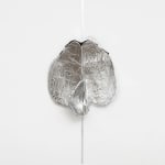 Em Rooney, Poppy for Emi Wada, 2020