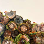 McKenna Prather, Field Mice and a Log