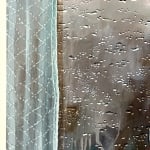 McKenna Prather, Field Mice and a Log