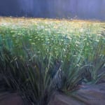 Canadian prairie landscape art