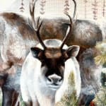 McKenna Prather, Field Mice and a Log