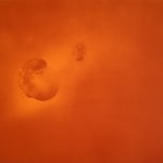 ED RUSCHA, Science is Truth Found Out, 2002