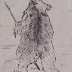 PAUL HANS OHMERT, The Bear