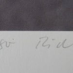 GERHARD RICHTER, Abstract Photo | Abstraktes Foto, 1989